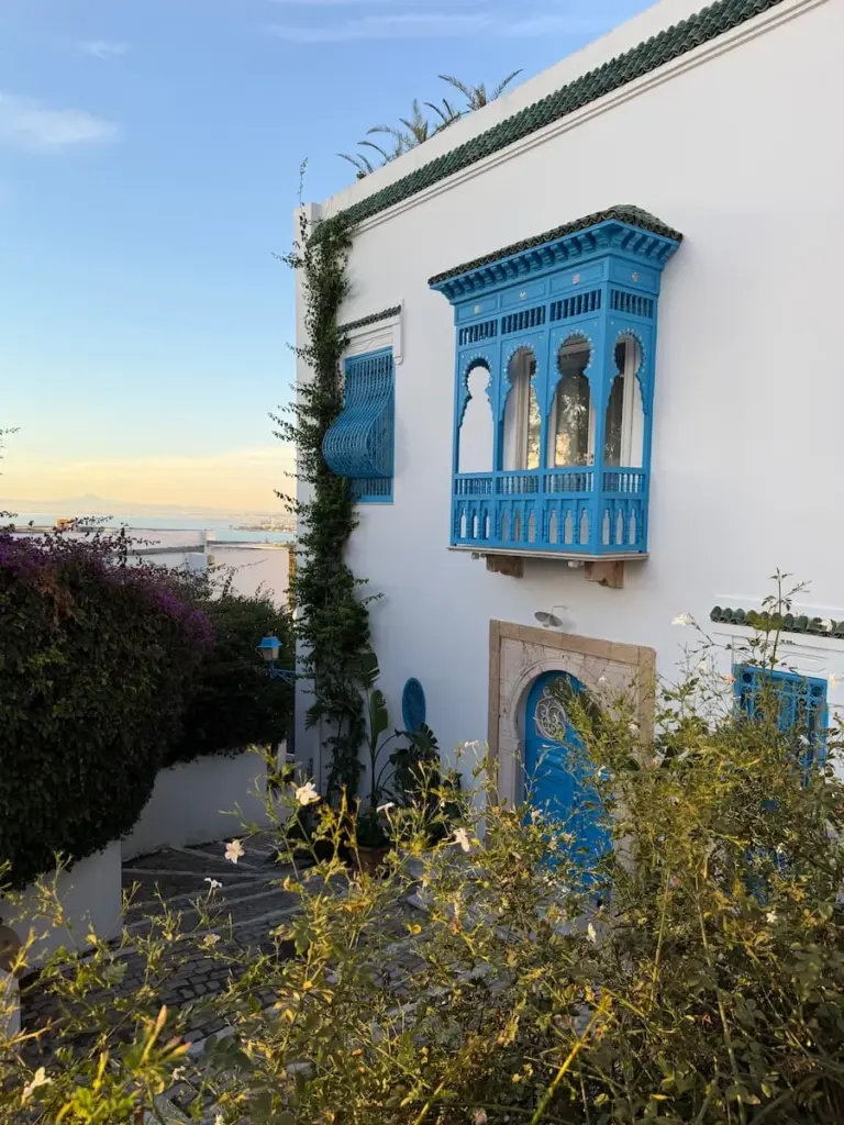 Blue Mashrabiya window, against a white walled house in Sidi Bou Said. At the bottom of the house there are many pink and white flowers and plants, Tunisia