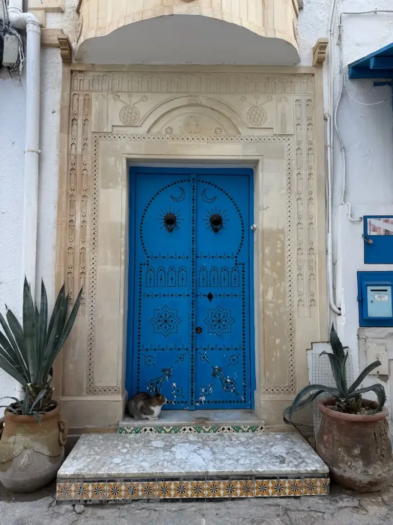Studded Blue door with cat and plants at either sidein Hammamet Medina
