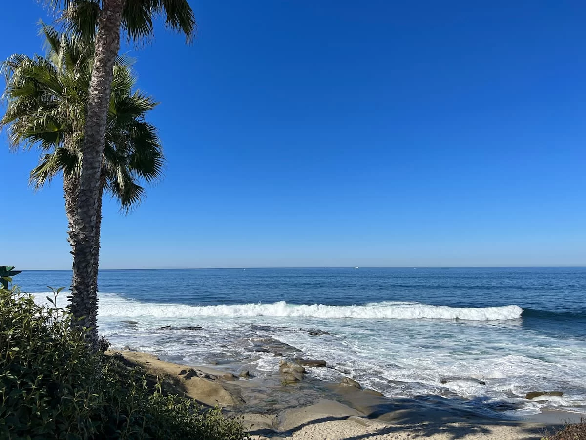 La Jolla cove beach with palm trees and crashing wanves
