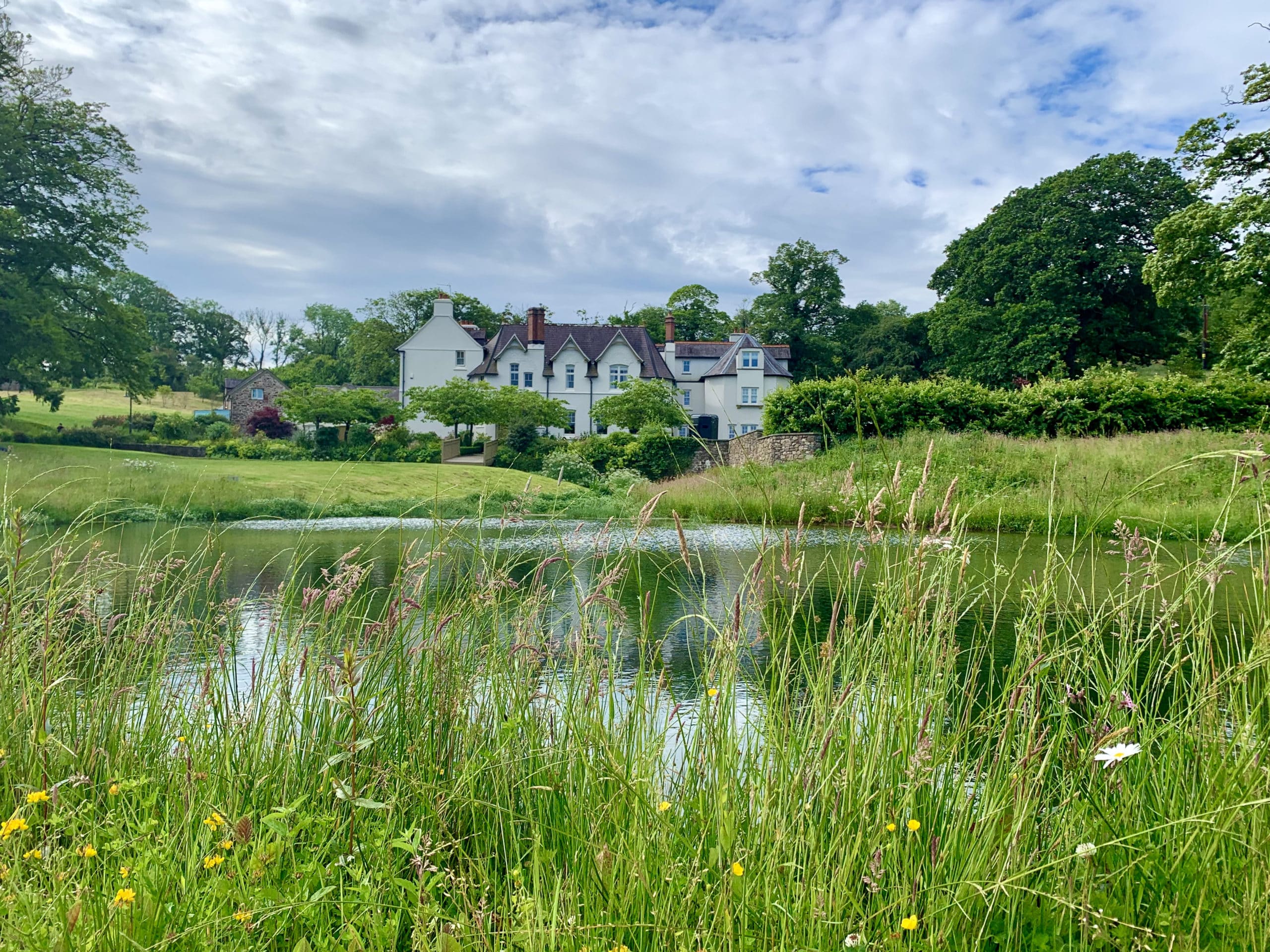 Grove Pond