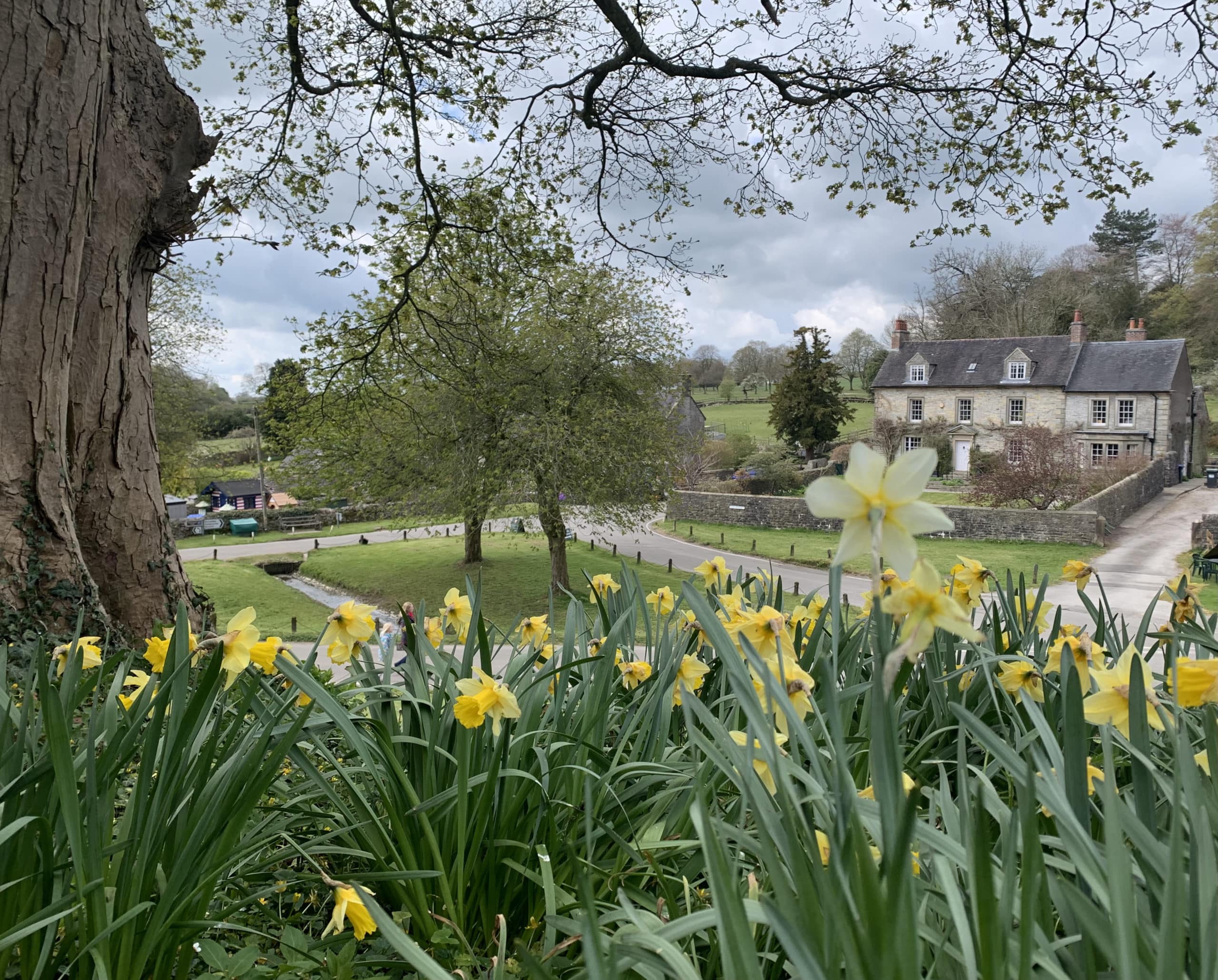INTRODUCING THE PICTURESQUE VILLAGE OF TISSINGTON