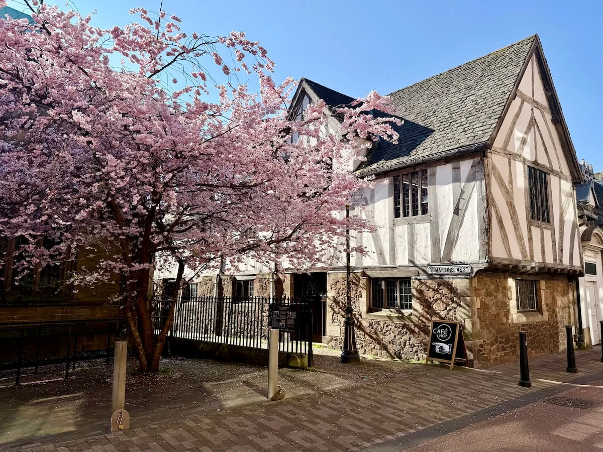 Leicester Guildhall with Cherry Blossom to the side. The black and white timber framed building